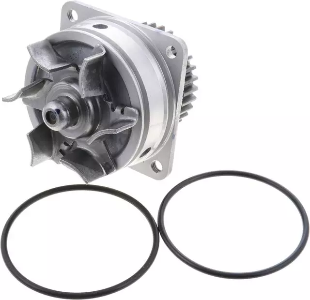B10107Y01A - : Water Pump for Nissan Image