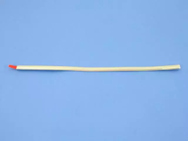 Rear Door Molding - Mopar (1DH74WS2AB)