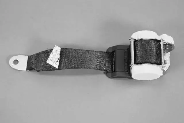1AN35DW1AD - : Seat Belt for Mopar Image