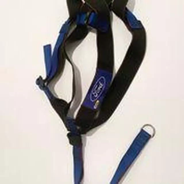 VM1PZ78600E03B - Interior: Pet Harness 2 - Small for Lincoln: Aviator, Corsair, Nautilus, Navigator Image