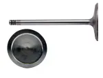 V3761 - : Engine Exhaust Valve for Enginetech Image