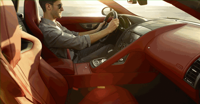 Seat Belt - Red - Right Side - Jaguar (T2R25832CJA)