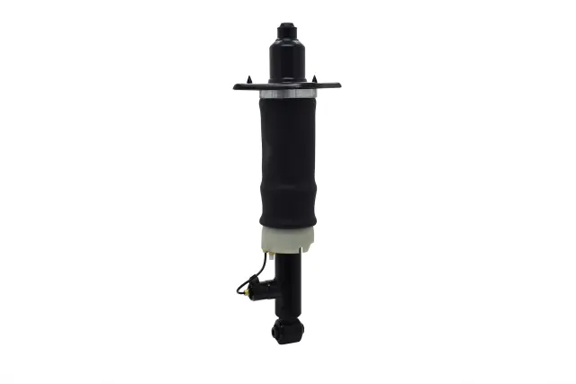 99003 - Suspension &amp; Steering: Focus Auto Parts Air Suspension Strut for Focus Auto Parts Image