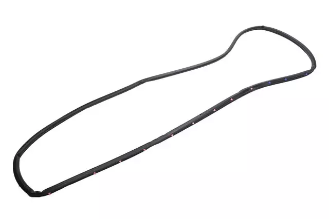 84011072 - Body: Door Weather-strip for Buick: Envision Image