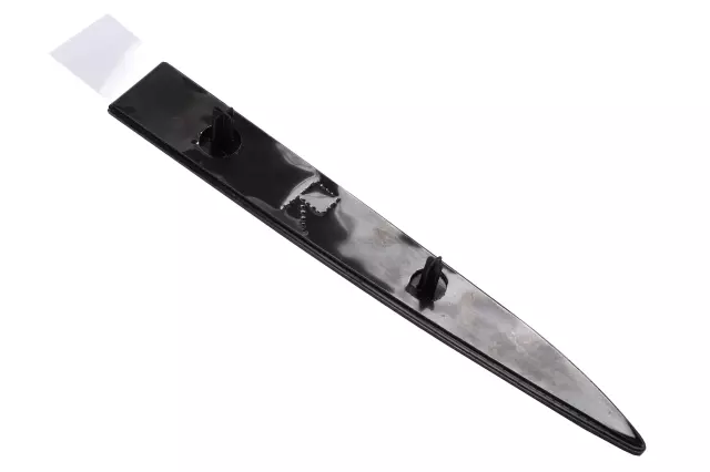 Body Side Molding - GM (84693774)