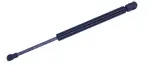 613387 - : Liftgate Lift Support for Tuff Support Image