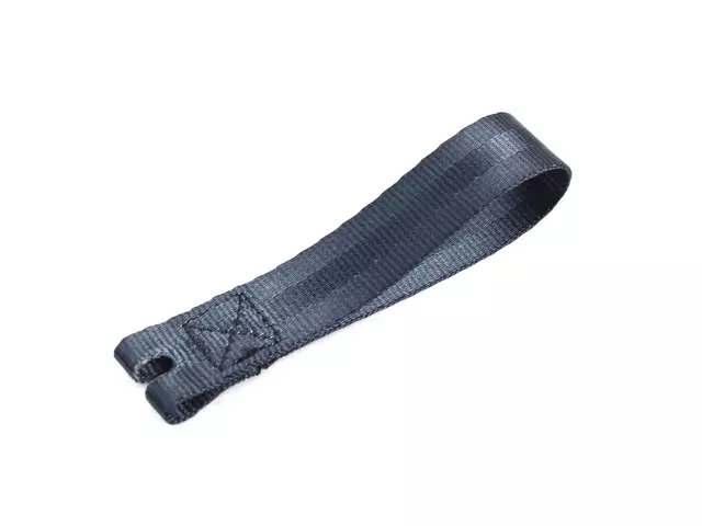 1VL64MBBAA - Interior Trim: Assist Strap for Mopar Image