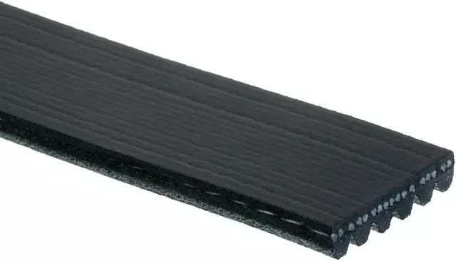 Standard V-Ribbed Serpentine Belt - GM (12576453)