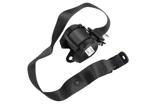 19355557 - Electrical: Outer Belt Assembly for GM Image