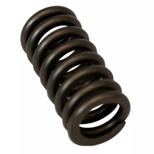 2003-2010 Ford Valve Springs - Ford (3C3Z-6513-AA)