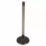 AL3Z6505A - : Engine Exhaust Valve for Ford: E-350 Super Duty, E-450 Super Duty, F-150, F-250 Super Duty, F-350 Super Duty Image