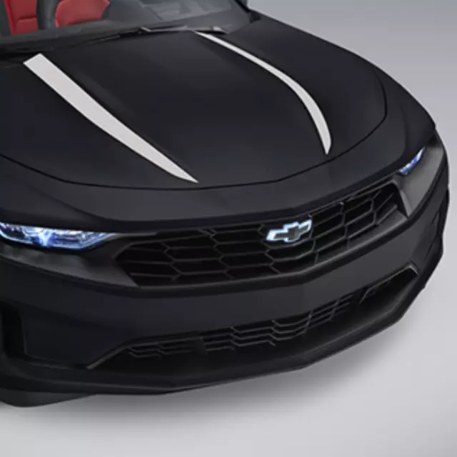 84356658 - Body: Spider Stripe for GM Image