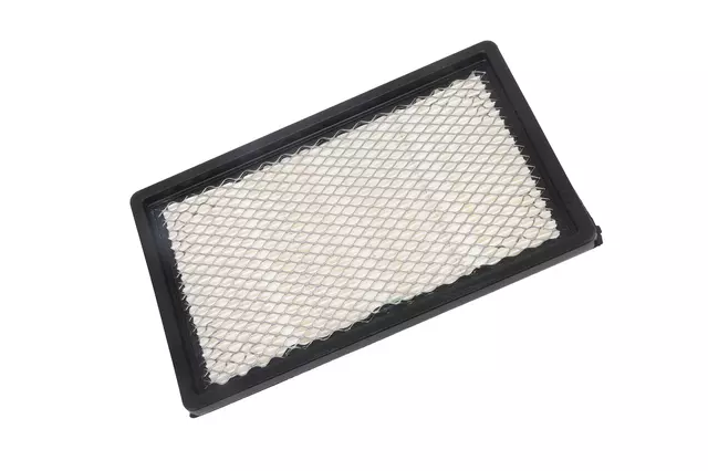Air Filter - GM (10366901)