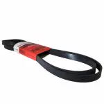 JK6891AA - : Serpentine Belt  for Motorcraft Image