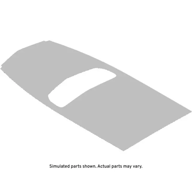 84279200 - : Silver Hood Decal for GM Image