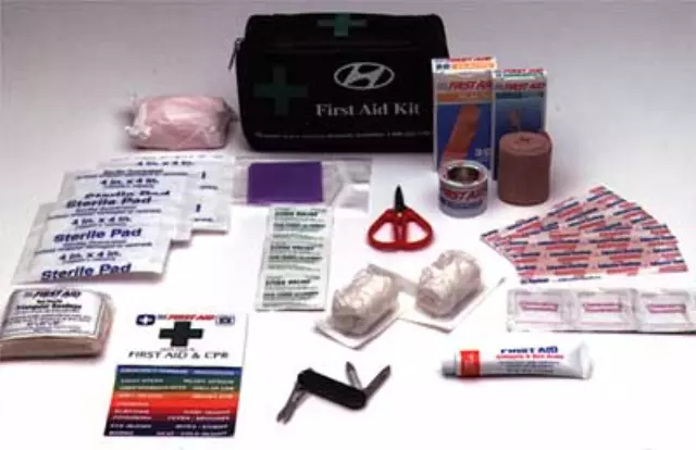 83ADU00 - Interior: First Aid Kit for Genesis: G80 | Hyundai: Accent, Azera, Elantra, Entourage, Equus, Genesis, Genesis Coupe, Ioniq, Santa Fe, Santa Fe Sport, Sonata, Tiburon, Tucson, Veloster, Veracruz Image