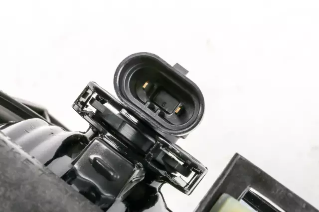 Fog Lamp Assembly - GM (15776380)