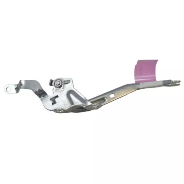 Hinge - Ford (6E5Z-16796-A)