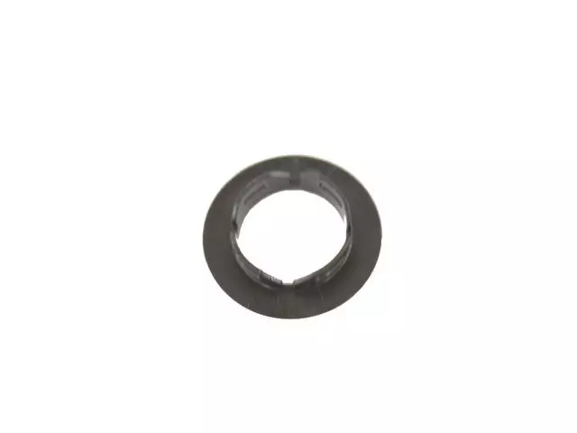 Dome Lamp Bezel - Mopar (6BT38LU5AA)