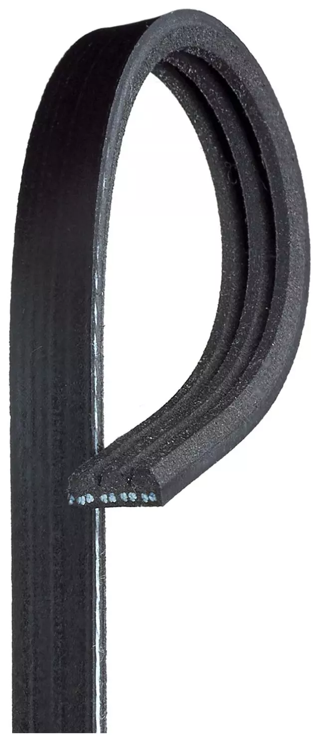 3K243 - : Standard V-Ribbed Serpentine Belt for ACDelco Image