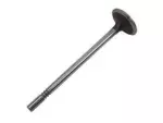 BC3Z6505B - : Engine Exhaust Valve for Ford Image