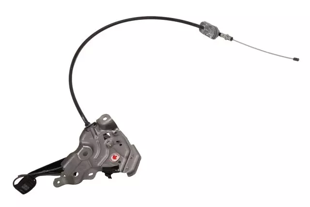 Parking Brake Lever with Bracket and Cable - GM (84460920)