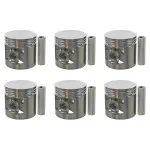1009P30 - : Engine Piston Set for SEALED POWER Image