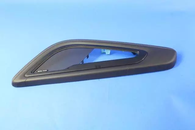 5QZ16YSAAA - Body: Door Armrest for SRT: Viper Image