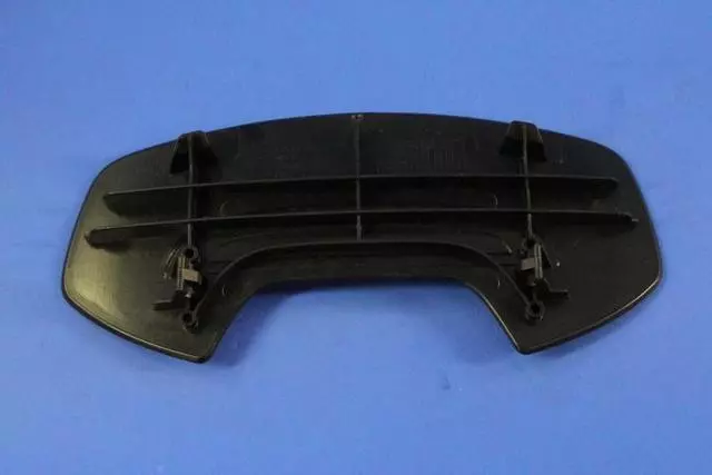Bezel, Left - Mopar (1WV69DX9AB)