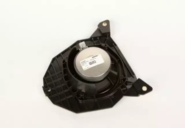 Rear Dr Speaker - GM (15054681)