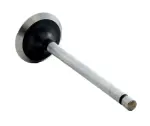 IM2536 - : Engine Intake Valve for Enginetech Image