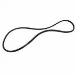 5G1Z54253A10AA - Body: Weather-strip On Body for Ford: Five Hundred, Taurus | Mercury: Montego, Sable Image