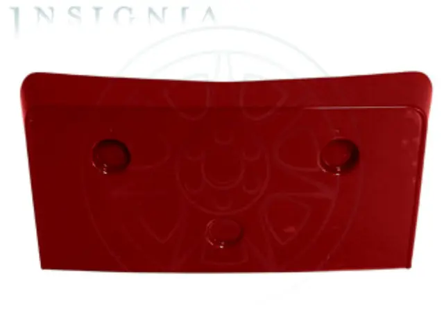 License Plate Holder - GM (19166219)