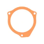 68147514AA - 3.0L Turbo Diesel; Engine: Engine Oil Separator Gasket for Mopar Image