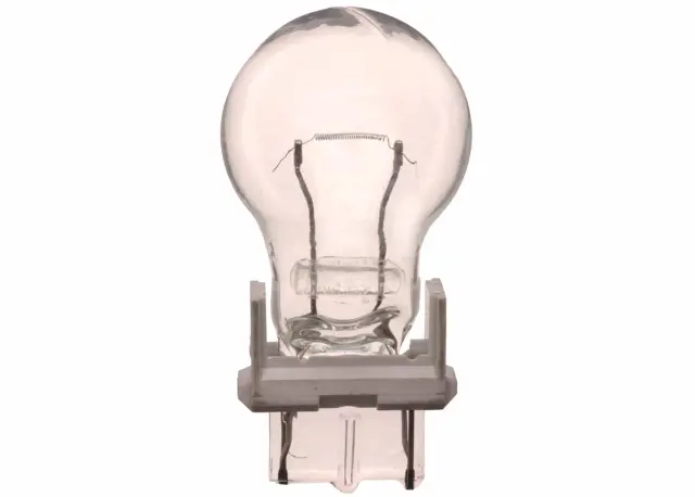 9442003 - Electrical: Back Up Light Bulb for GM Image