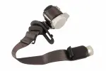 84978714 - : F Retractor for GM Image