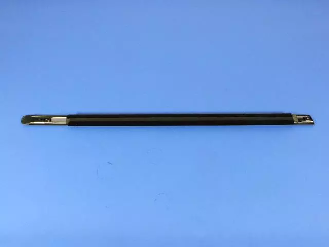 Front Door Belt Weatherstrip, Left - Mopar (4806061AE)