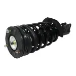 810119 - : Suspension Strut and Coil Spring Assembly for GSP Image