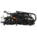 S1MZ14A005R - : Wiring Assembly for Ford Image