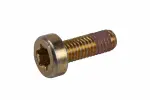 24299360 - : F (S)Bolt for GM Image