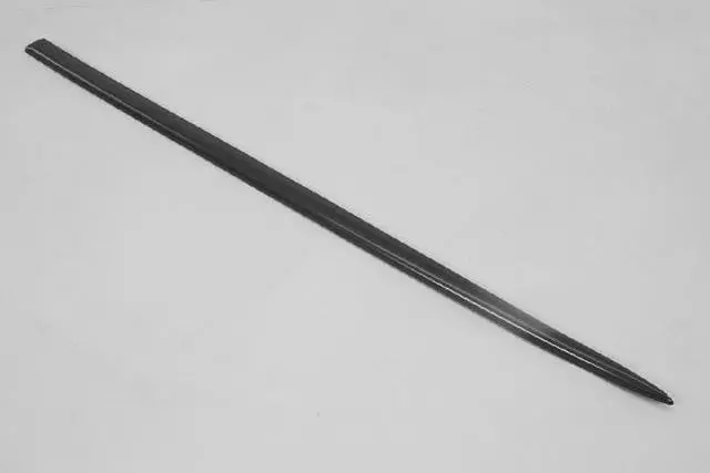 Front Door Molding - Mopar (1AS86SW1AD)