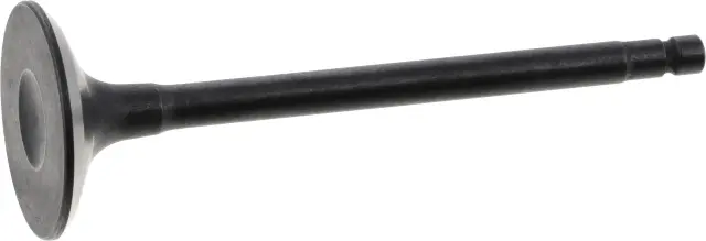 132028J10A - : Exhaust Valve for INFINITI: FX35, G35, I35, M35, QX4 Image