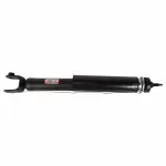 ASH24485 - Suspension: Motorcraftâ„¢ Suspension Shock Absorber for Lincoln: MKT Image