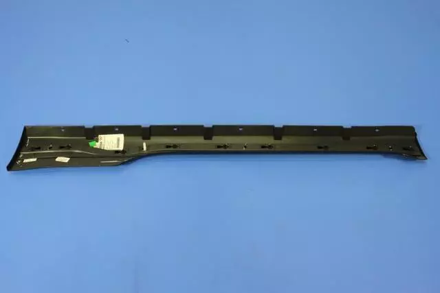 Sill Cladding, Right - Mopar (1SH14TZZAE)