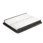 22012098 - : Air Filter for Hyundai: Santa Fe, Santa Fe Sport, Santa Fe XL | Kia: Sorento Image