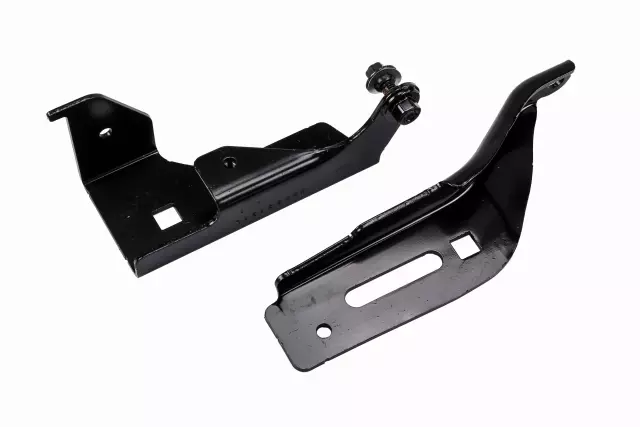 19207219 - Body: Hinge for Cadillac: STS Image