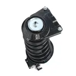 815003 - : PRT 815003 Suspension Strut and Coil Spring Assembly for PRT PERFORMANCE RIDE Image