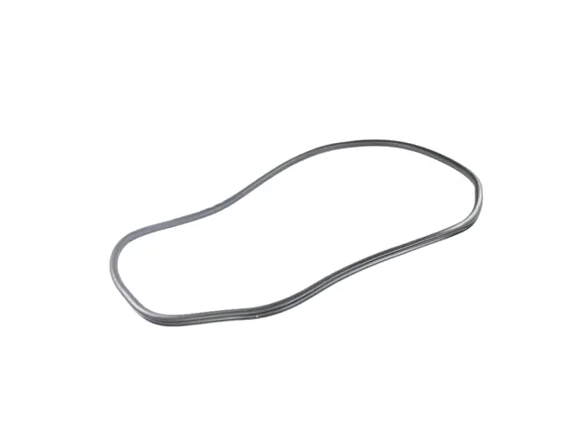 Rear Door Body Mounted Weatherstrip, Right - Mopar (05056309AA)