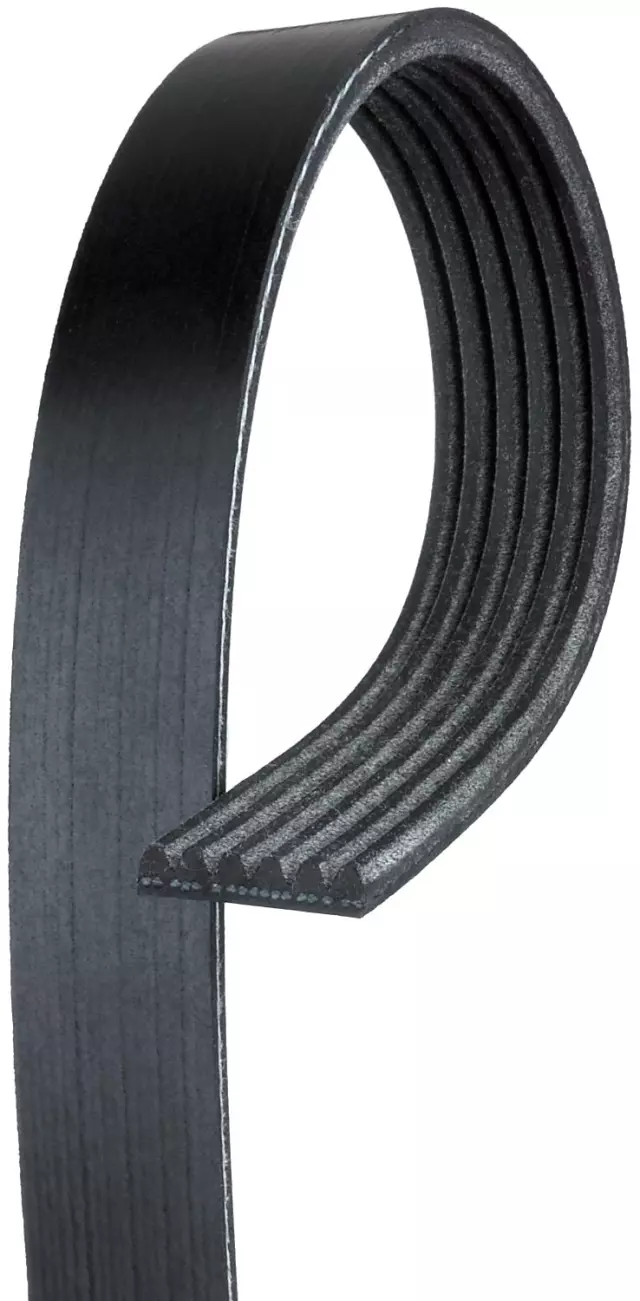97300653 - : V-Ribbed Serpentine Belt for GM Image