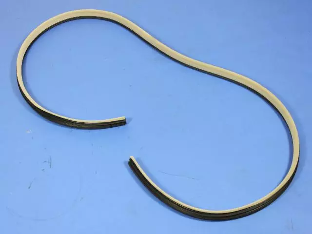 Rear Door Weatherstrip - Mopar (UW64BD1AC)